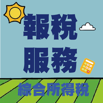 財政稅務系2026五月綜合所得稅申報圖片
